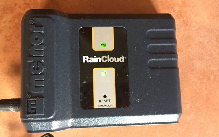 raincloud 3.jpg