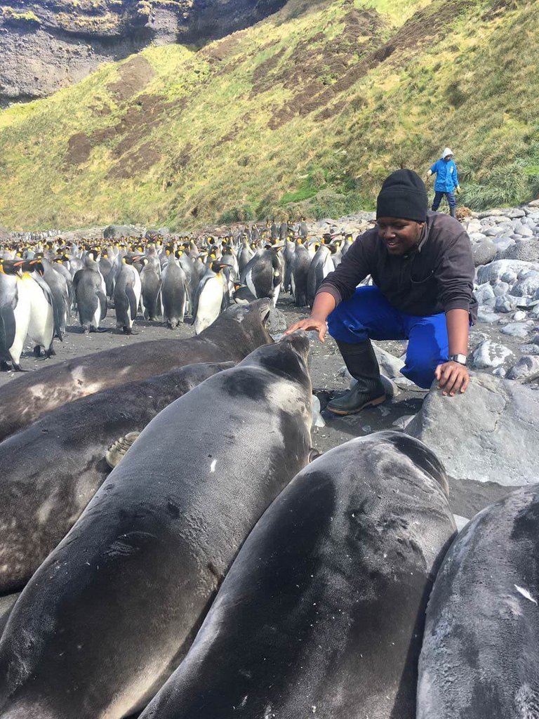 Marion Island researcher with baby elephant seals