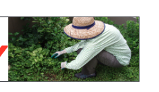 Gardener PPE.png