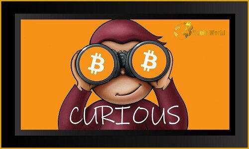 curious.jpeg