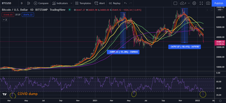 BTC chart w 2nd 50pc crash 22jan22.png