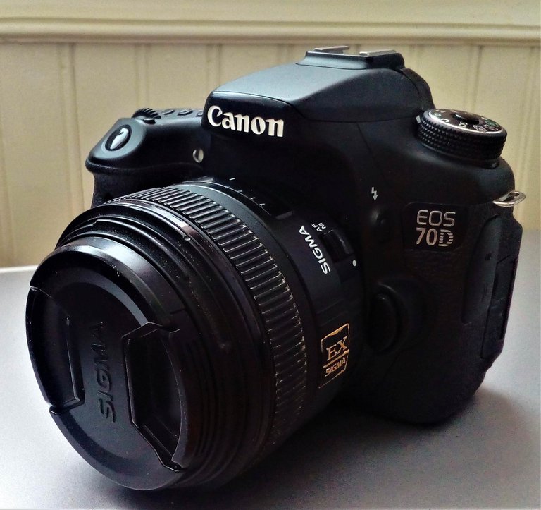 canon 70 d with lens on.jpg