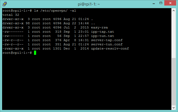 A screenshot of the OpenVPN server shell