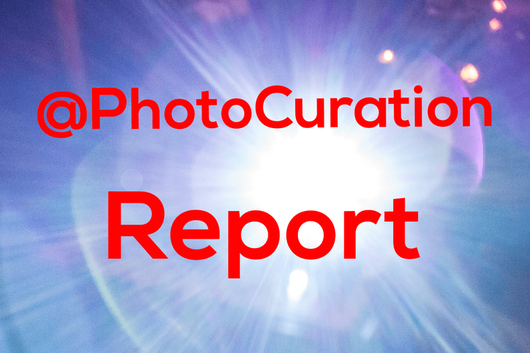 @Photocuration Report