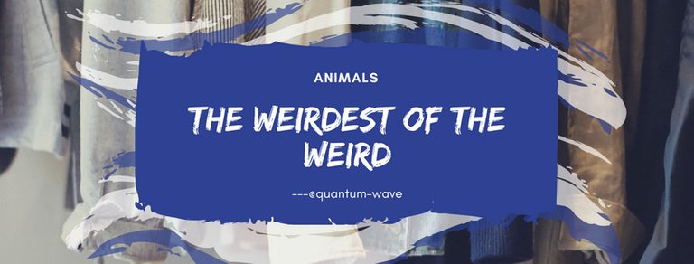 The Weirdest of the Weird.