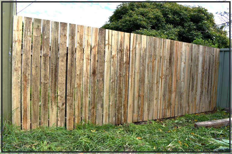 So proud of my new fence