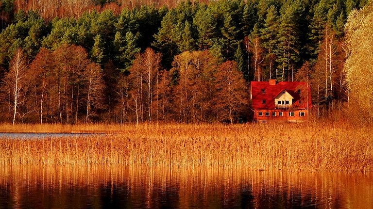 autumn on the lake