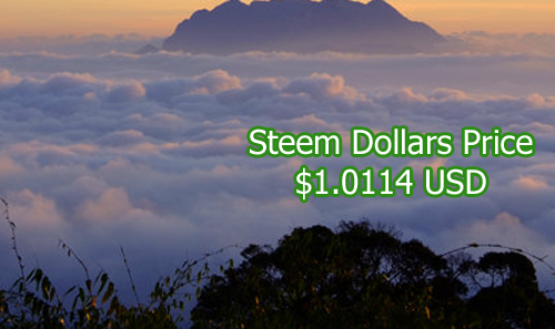 Steemdollars price