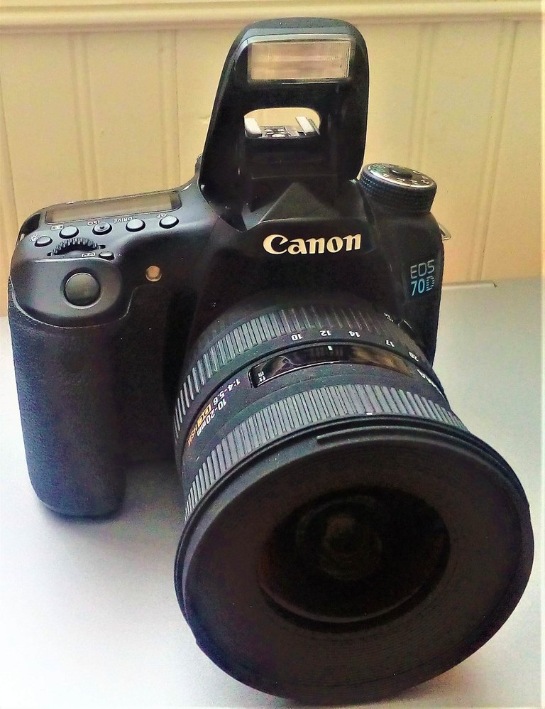 canon 70 d with flash .jpg