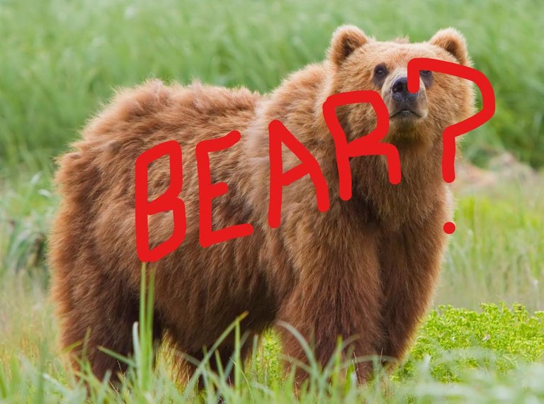 altseason bear 20210218 135626.png