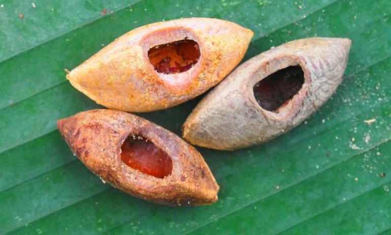 Wholes in the coconut