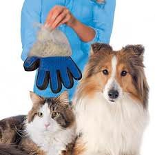 Gloves_cats_dogs.jpg