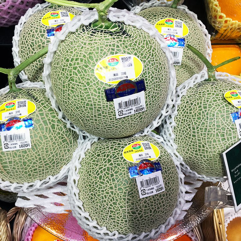 Most Delicious Fruits That Are Made in Japan melon