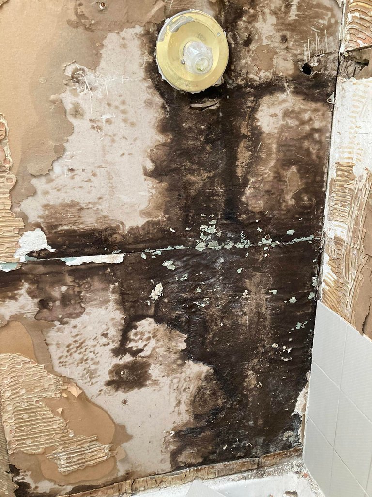 D0212F229C804F57A0DF3D075A4DDA2A.jpeg