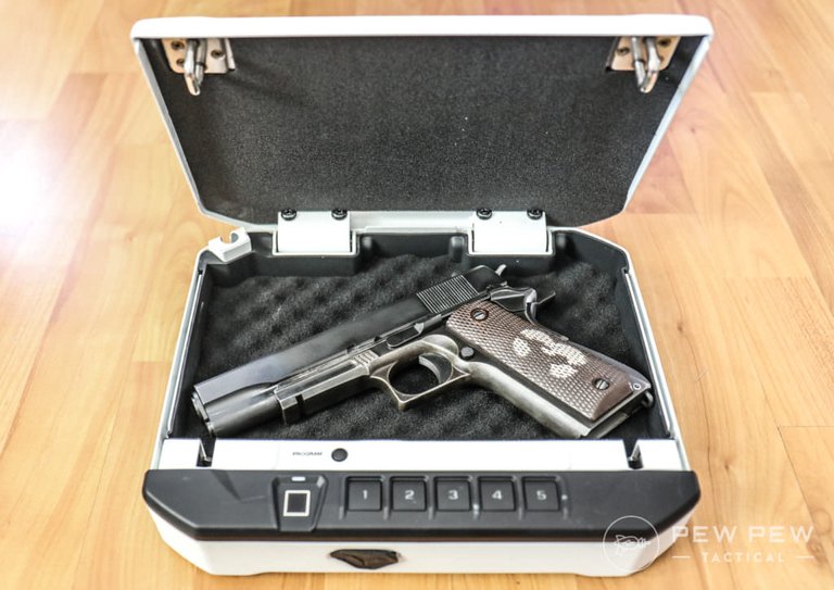 VT10i-with-1911-1024x724.jpg