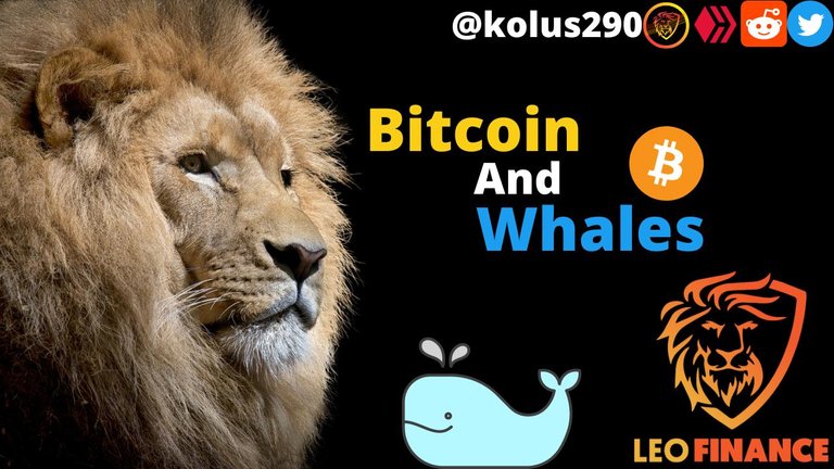 Bitcoinandwhales.png