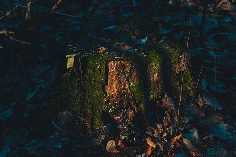 ©2023 - Ruben Cress