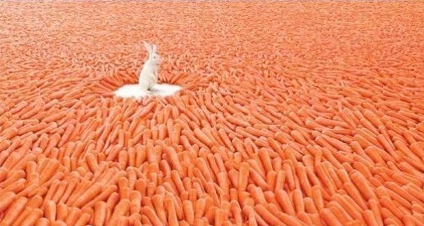 Abundance1 1.jpg