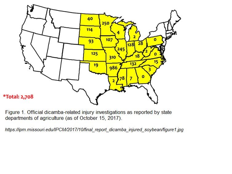 https://ipm.missouri.edu/IPCM/2017/10/final_report_dicamba_injured_soybean/figure1.jpg