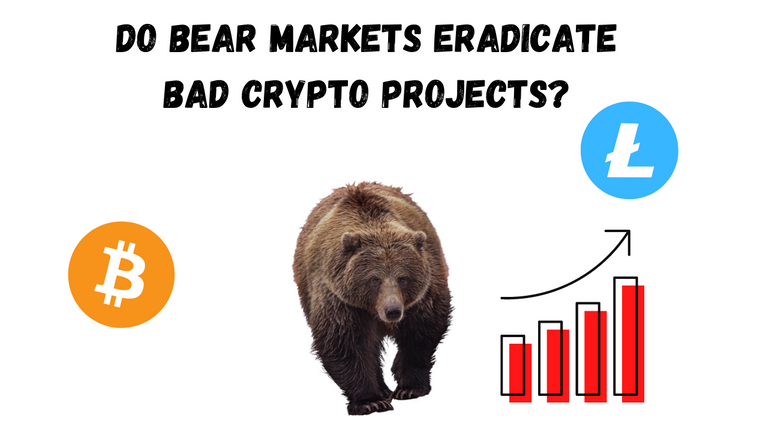 do bear markets eradicate bad crypto projects.png