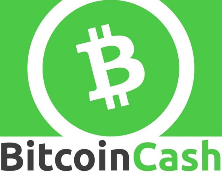 InvestinginBitcoinCash.jpg