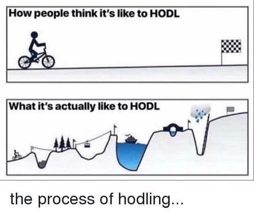 What its actually like to hodl.jpeg