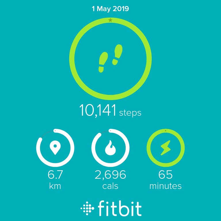 Fitbit Tracker Share