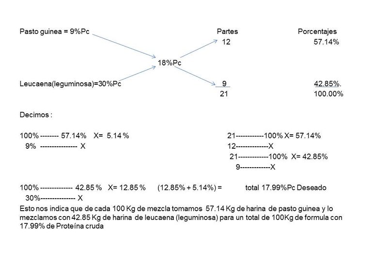 imagen 7