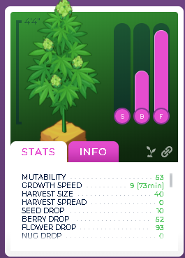 My plant's stats