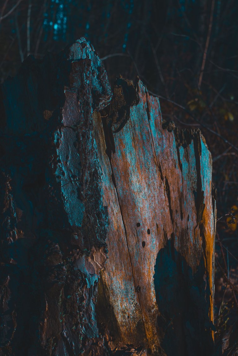 ©2023 - Ruben Cress