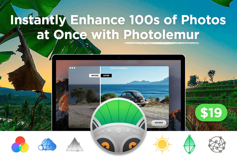 Photolemur.png