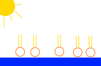 Schema polarité