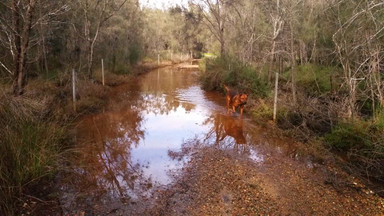 Water on the track