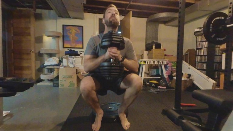 DB Goblet Squats