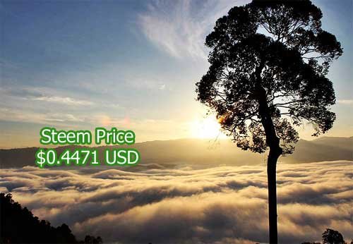 steem price