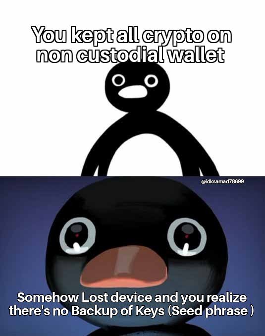 Terrified Noot Noot 21112022000927.jpg