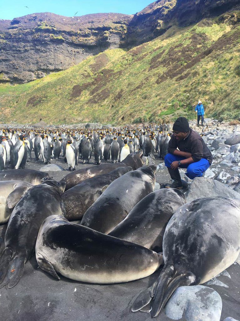 Marion Island researcher with baby elephant seals