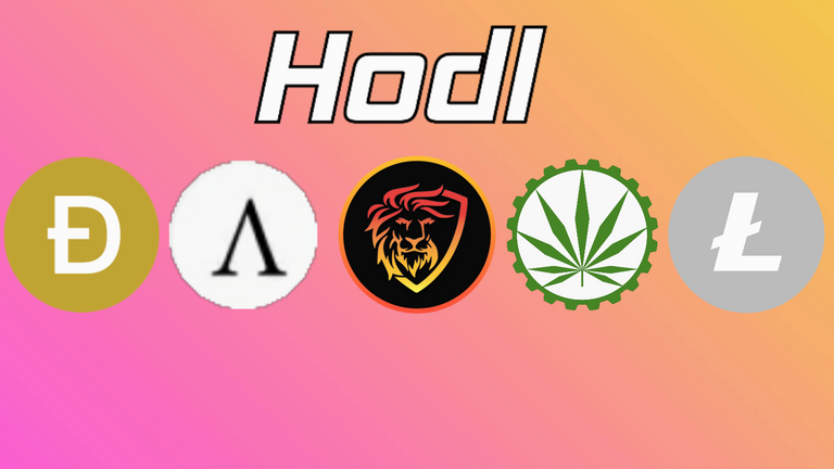 hodl.png