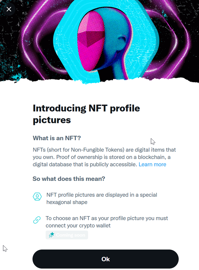 NFT Profile on Twitter.png