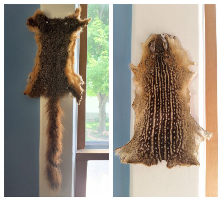 Animal skins