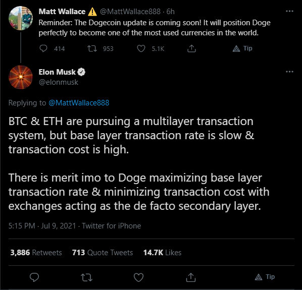 elon musk reply.PNG