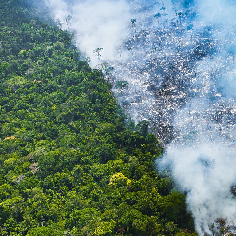 csm_amazonienfeuercaraquemalcantaraWWFBrazil_6500a19193.jpg