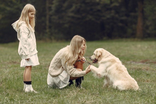 motherherdaughterplayingwithdogfamilyautumnparkpetdomesticanimallifestyleconcept_115742384.jpg