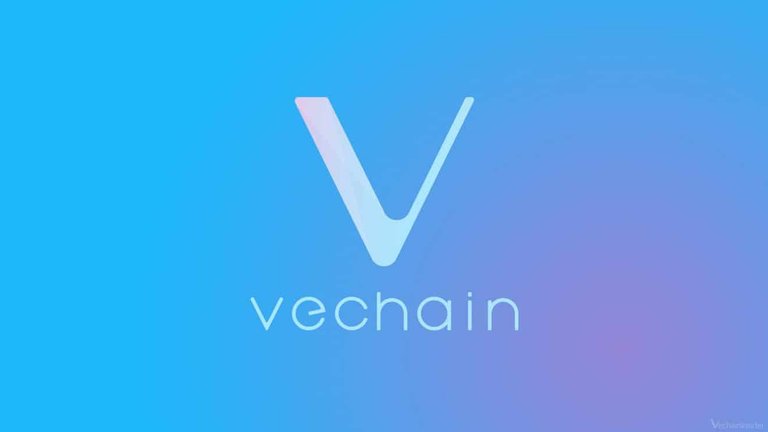 vechain.jpg