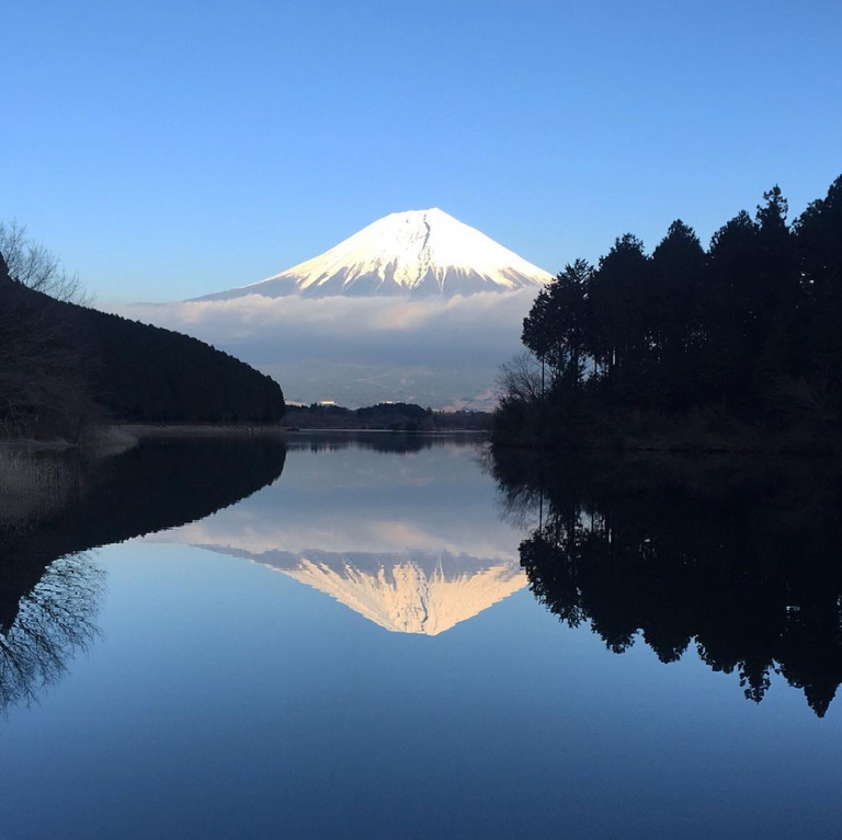 Fuji Mountain