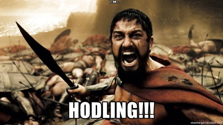 Image result for Hodling