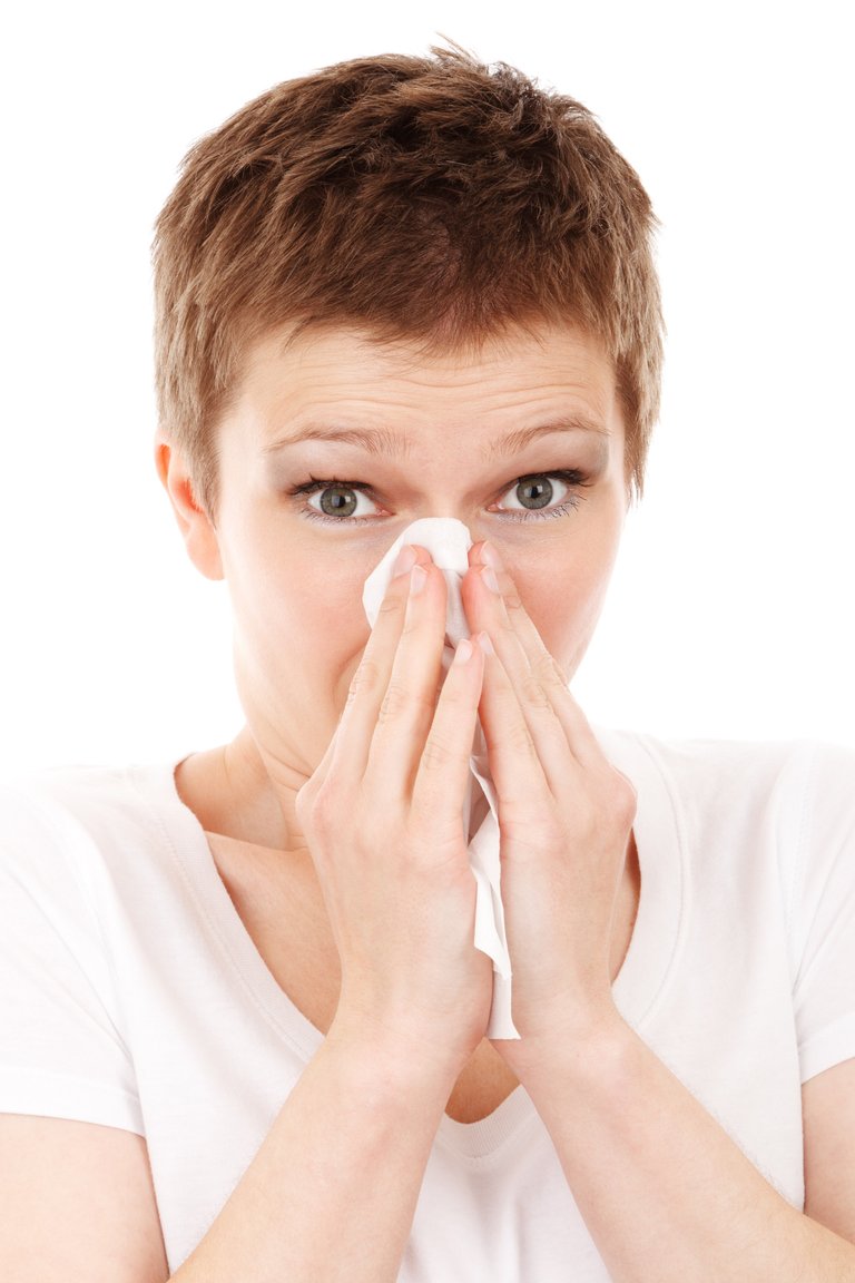 allergies-allergy-cold-41284.jpg