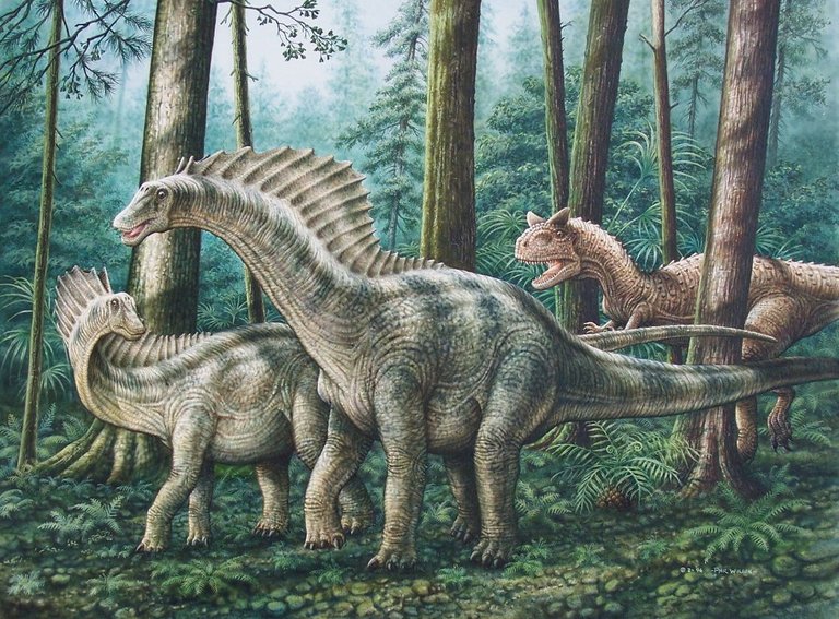 Amargasaurus, Angel R. Ferrer