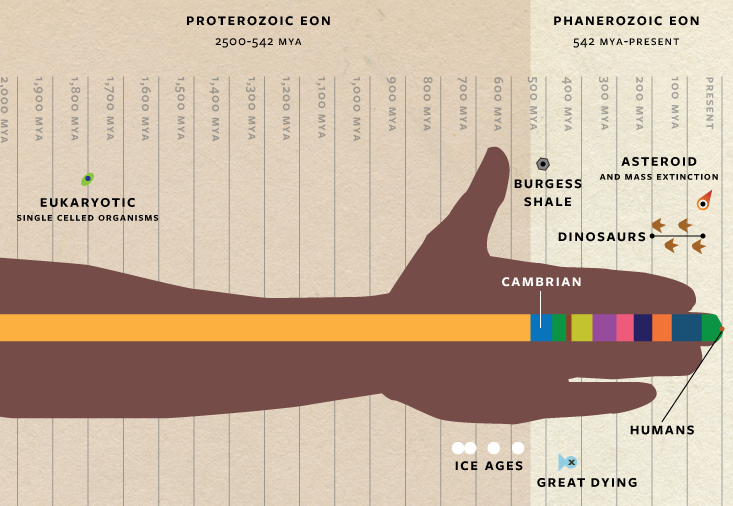 Arm life on earth scale