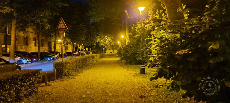 Park pathway in the evening